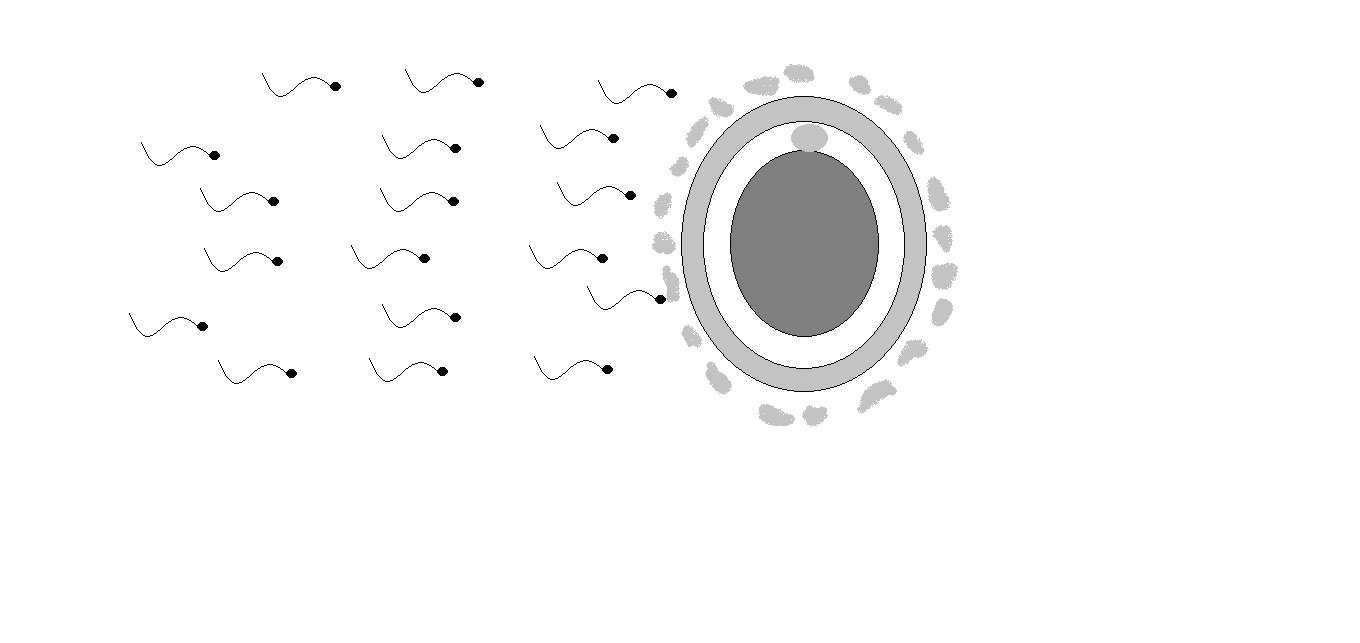 ivf | test tube baby